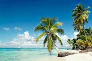 Caraïbes & Îles Sous-le-Vent - Croisière en voilier & séjour balnéaire