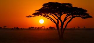 Tansania | Serengeti | ALDI SUISSE TOURS