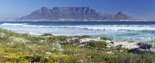 Kapstadt | Tafelberg | ALDI SUISSE TOURS