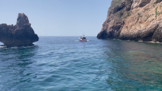 Delfinde Bucht ALDI SUISSE TOURS