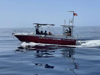 Bootsausflug ALDI SUISSE TOURS