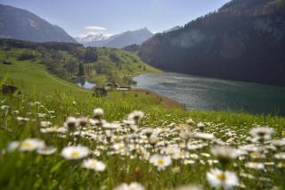 Seelisberg ALDI SUISSE TOURS