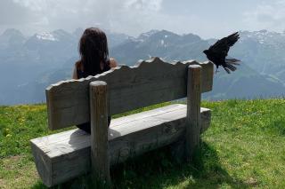 Grindelwald | ALDI SUISSE TOURS