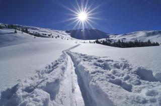 Die 3 Top Winteraktivitäten