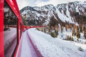 Circuits en autocar et en train dans le monde entier