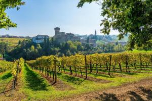 Lago di Garda ed Emilia Romagna - Tour per viaggiatori autonomi
