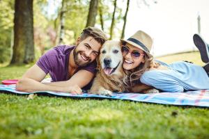 Partez en vacances avec votre chien en Suisse