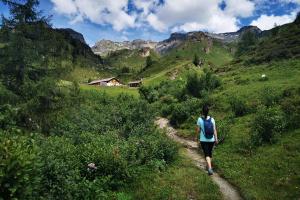 Originali alpeggi e delizie culinarie - Escursione a piedi