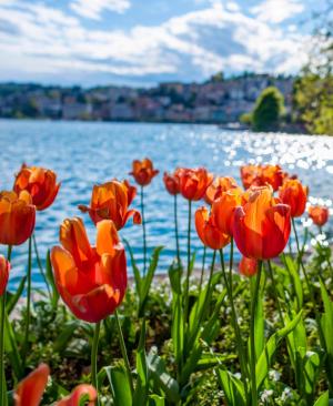 Vielfältiges Lugano