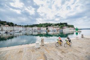 Sur la piste cyclable de Parenzana d'Italie en Croatie - Tour en VTT