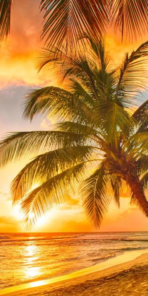 Barbados