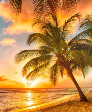 Barbados