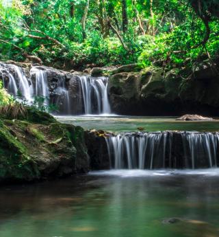© Eurotours ALDI SUISSE TOURS: Karibik & Indischer Ozean