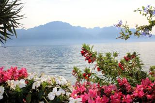 Ausflug Genfersee ALDI SUISSE TOURS