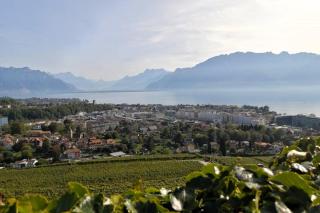 Ausflug Genfersee ALDI SUISSE TOURS