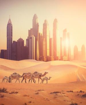 Vereinigte Arabische Emirate