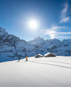 Die schönsten Regionen zum Winterwandern & Schneeschuhwandern