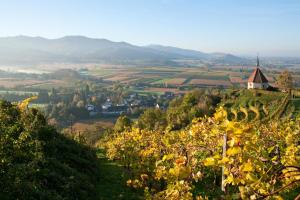 Friburgo in Brisgovia