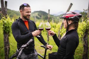 À travers les vignobles méditerranéens de Slovénie - Tour à vélo