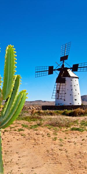 Fuerteventura - Économise en réservant jusqu'au 31.12.2023