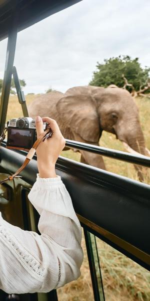 Abenteuer Safari: Was du vor deiner Reise wissen solltest