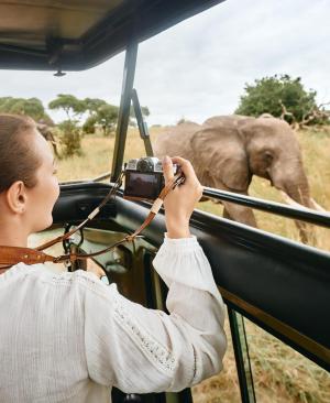 Abenteuer Safari: Was du vor deiner Reise wissen solltest
