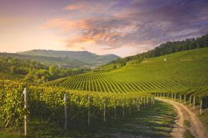 Piemont & Ligurien - Selbstfahrer-Rundreise