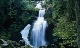 Die Top 6 Aktivitäten im Schwarzwald | ALDI SUISSE TOURS