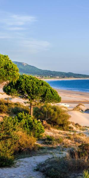 Strandurlaub zu Pfingsten: Costa de la Luz, das Juwel Andalusiens