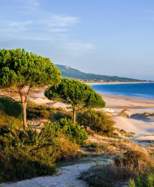 Strandurlaub zu Pfingsten: Costa de la Luz, das Juwel Andalusiens