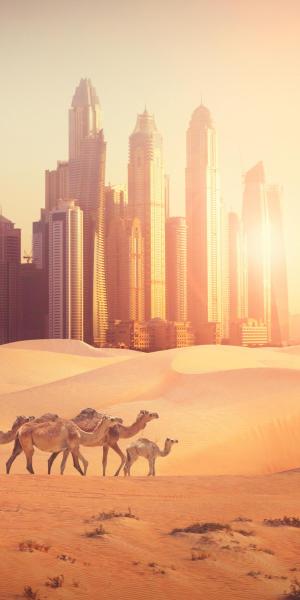 Dubai - Bis 30.04.2024 buchen und sparen