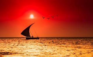 Ferien auf Sansibar ALDI SUISSE TOURS