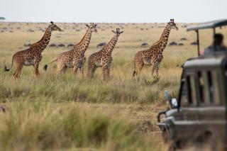 Ferien auf Sansibar ALDI SUISSE TOURS