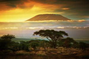 Kilimanjaro - Wanderreise & Safari