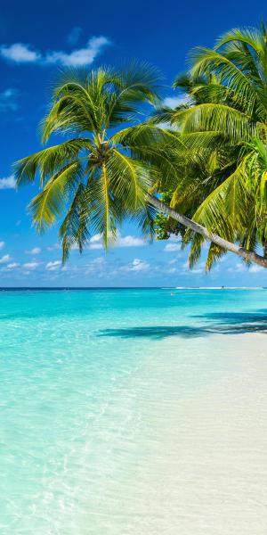 Maldives