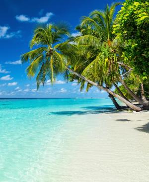 Maldives