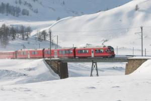 Rêves d'hiver dans le Bernina Express - Circuit en train
