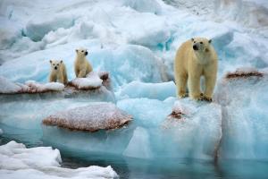 Spitzbergen - Expeditionskreuzfahrt