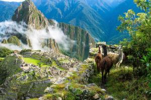 Machu Pichu