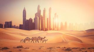 Emirati Arabi Uniti: viaggiare in Oriente