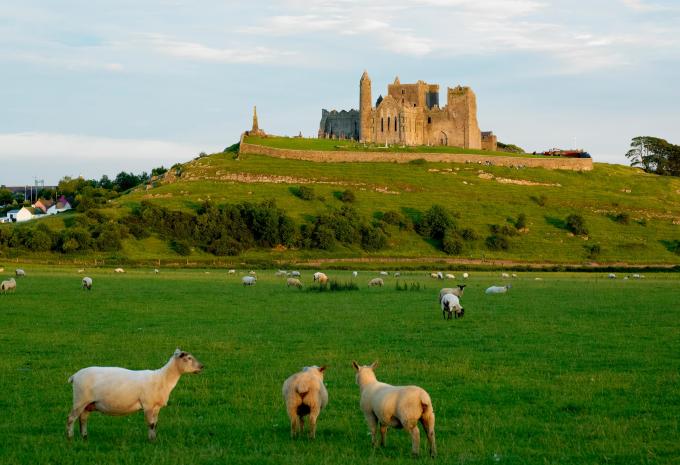 Rock of Cashel