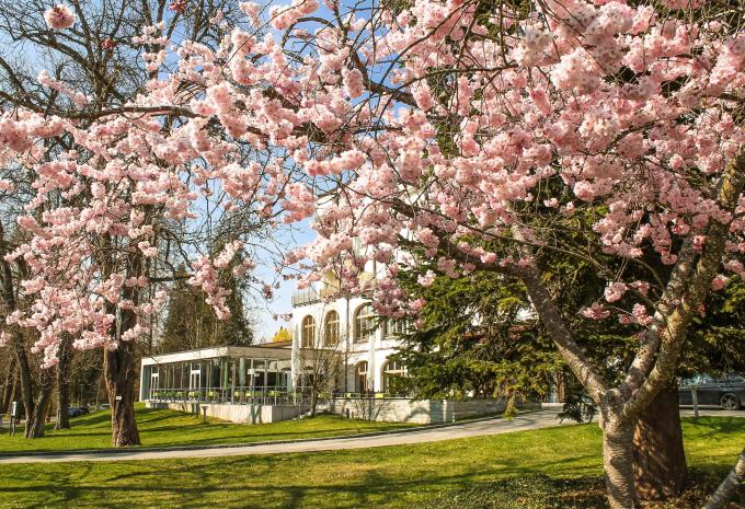 Biberach an der Riss