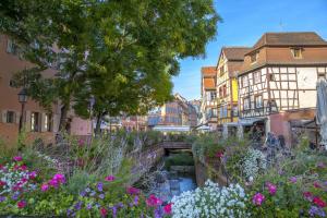 Weinberge und Romantik im Elsass - Velotour