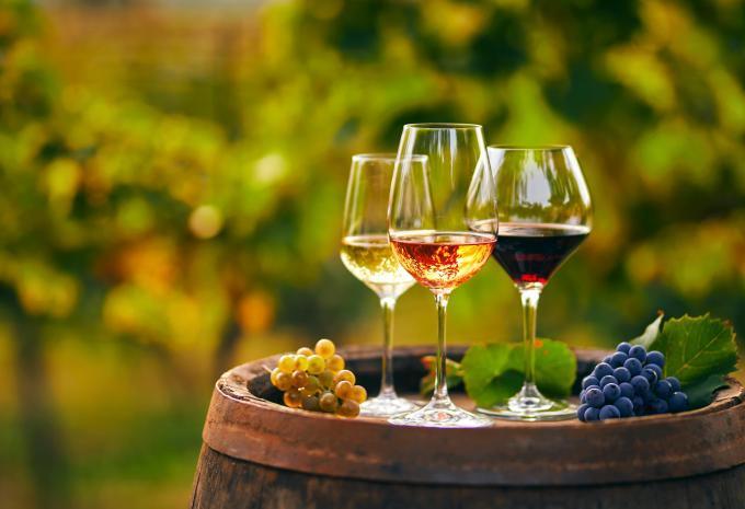 Entlang der Weinberge von Basel durchs Elsass nach Strassburg - Velotour