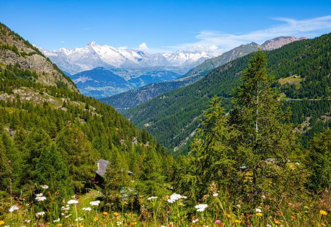 À bord du Glacier Express à travers les Alpes Suisses - Circuit en train
