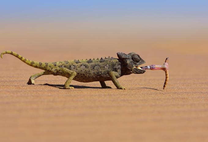 Namibia, Simbabwe & Botswana - Rundreise & Safari