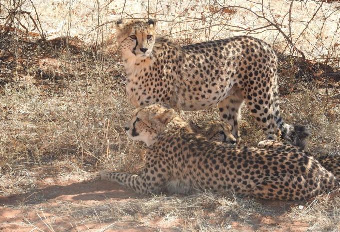 Namibia, Simbabwe & Botswana - Rundreise & Safari