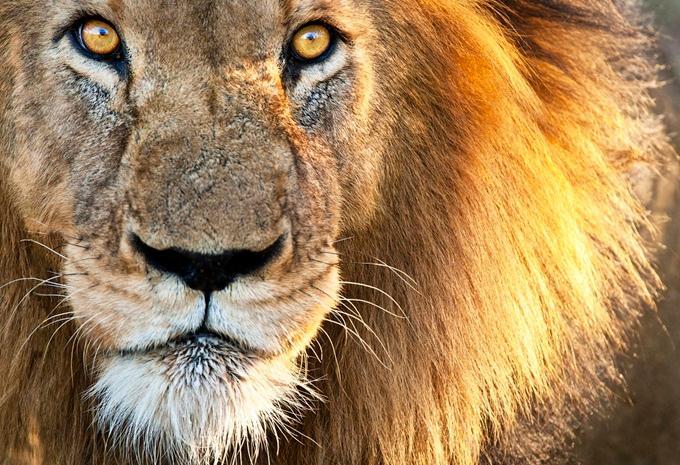 Namibia, Simbabwe & Botswana - Rundreise & Safari