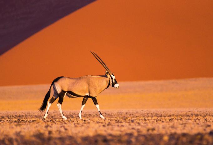 Sossusvlei Sossusvlei