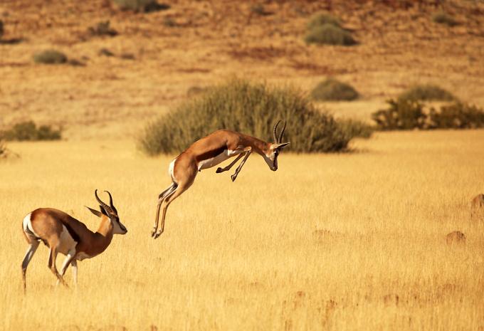 Namibia, Simbabwe & Botswana - Rundreise & Safari